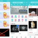生态理财/生态商城竞拍资金盘预约竞拍/幸运大转盘源码