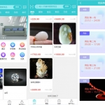 预约竞拍/生态竞拍商城系统源码/生态理财系统/幸运大转盘