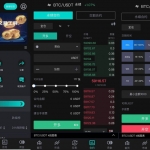 永续合约/币币/海外JAVA黑色VUE交易所源码/多语言交易所/期权交易