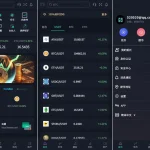 插针控制/秒合约/申购源码/期权/合约/【海外多语言unapp交易所】多语言交易所系统