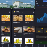 粮食微盘系统/双语言微盘/二开版微交易系统