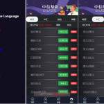 期货/外汇/基金/微交易系统/指数/二开微盘系统