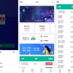 时间盘系统/海外微盘源码/多语言外汇微交易系统