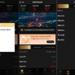 外汇虚拟币贵金属微盘源码/海外ERATRDE多语言微交易系统/前端vue/新增群控单控