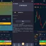 多语言海外微盘源码修复版海外微交易源码开源海外微盘微交易黑色源码下载