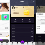 多语言新版亚马孙抢单刷单系统/订单自动匹配系统/打针叠加组刷单