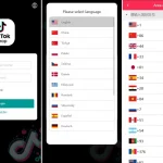 【海外多语言tiktok刷单源码】多语言tiktok抢单/海外tiktok刷单/打针/分组/前端vue后端thinkphp