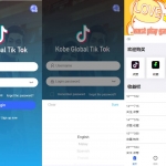 竞猜下注/多语言伪商城系统/开奖预设/海外Tiktok点赞下注