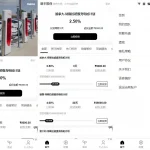 海外多语言理财投资特斯拉充电桩vue定制UI项目投资系统源码