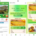 投资认购/海外投资uniapp投资理财系统源码后端php/振兴产品投资/三级分销